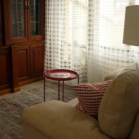 Atico Auditorio Disfrute Sus 40 Metros De Terraza Orientada Al Sur 아파트 *