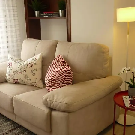 Atico Auditorio Disfrute Sus 40 Metros De Terraza Orientada Al Sur 아파트 오비에도